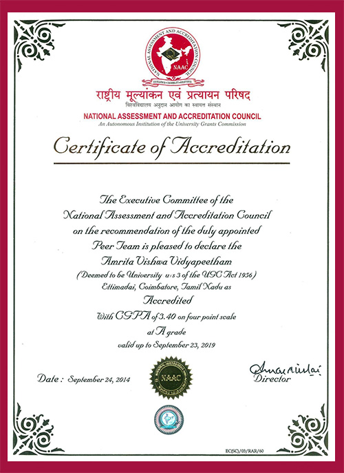 Sample Certificate